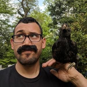 Meet your Posher, Robin